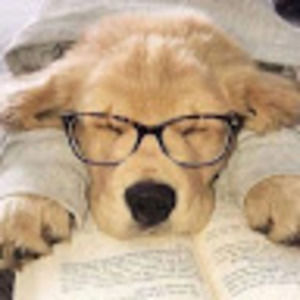 Meet your Posher, Maritza